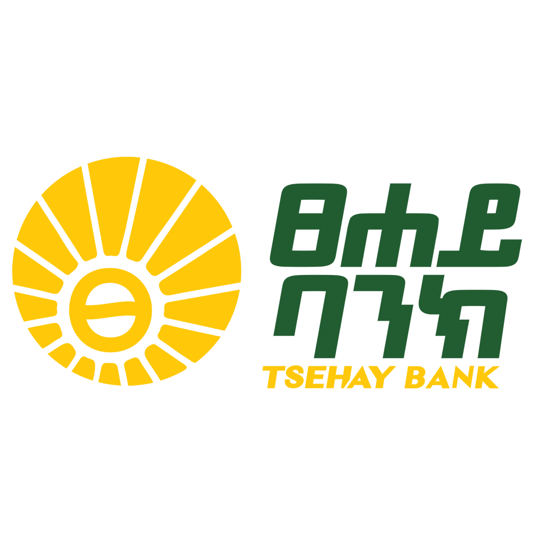Tsehay Bank SC