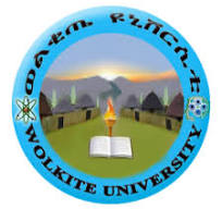 Wolkite University